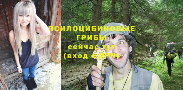 mdpv Гусев