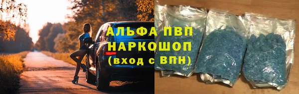 стаф Гусь-Хрустальный