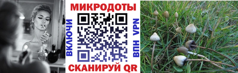 Галлюциногенные грибы MAGIC MUSHROOMS Купить где Белебей