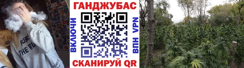 Купить закладки Белебей Бошки марихуана VHQ
